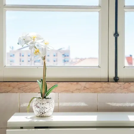 Cosy Appartamento