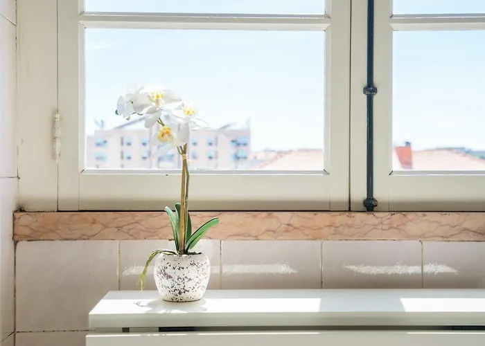 Cosy Apartamento